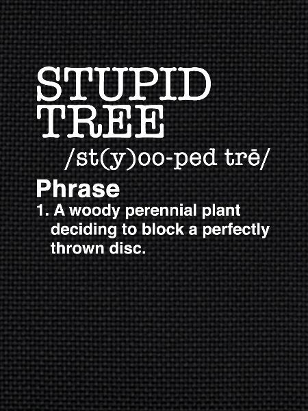 Disc Golf