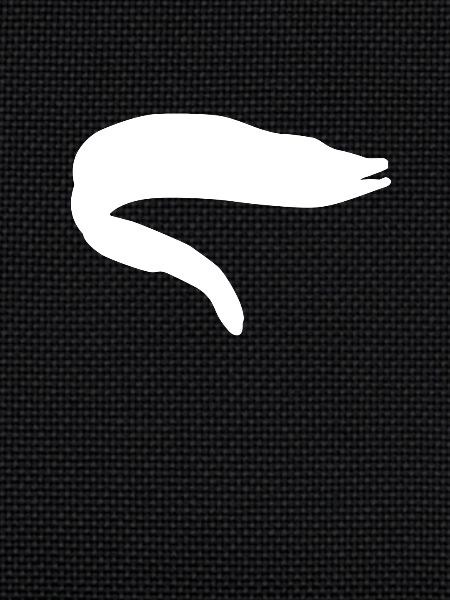 eel