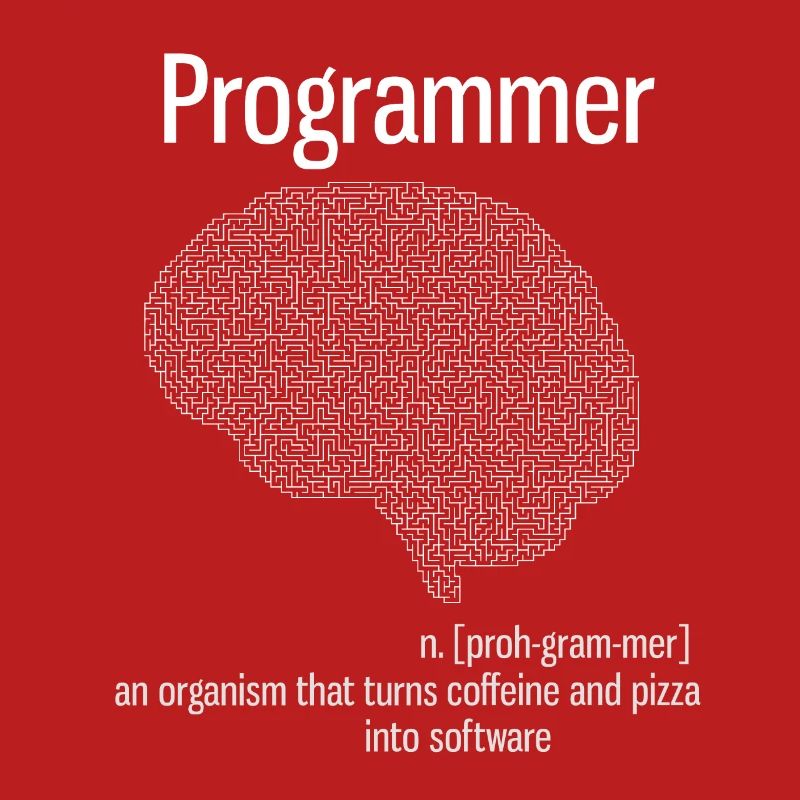 Programmeur cerveau PC ordinateur définition pizza lo