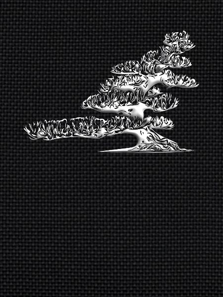 bonsai