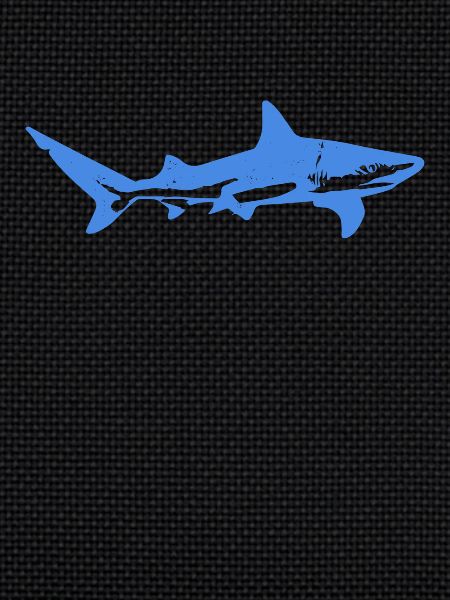 Blue Shark