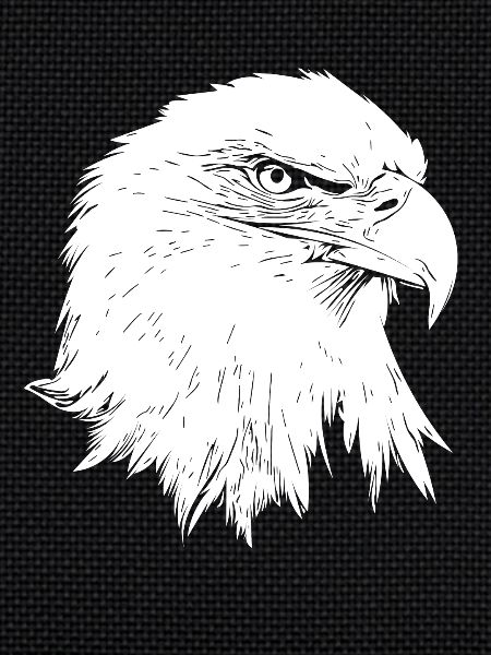 Eagle / Bald Eagle