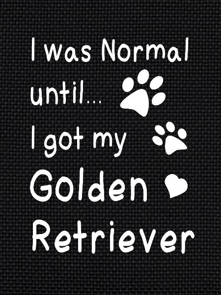 Golden retriever