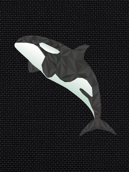 orca Whale