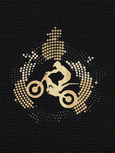 Trial motorcycle