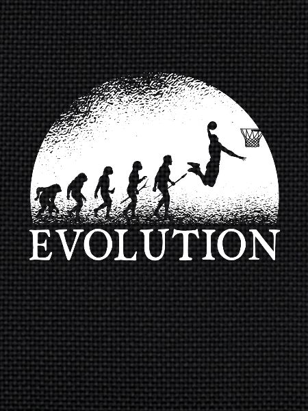 Basketball Evolution