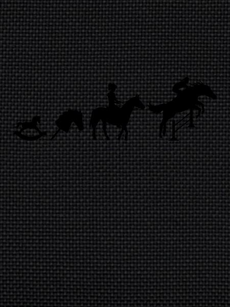 Evolution Cavaliers de saut