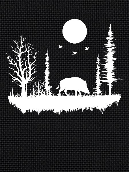 Forest Nature Wilderness
