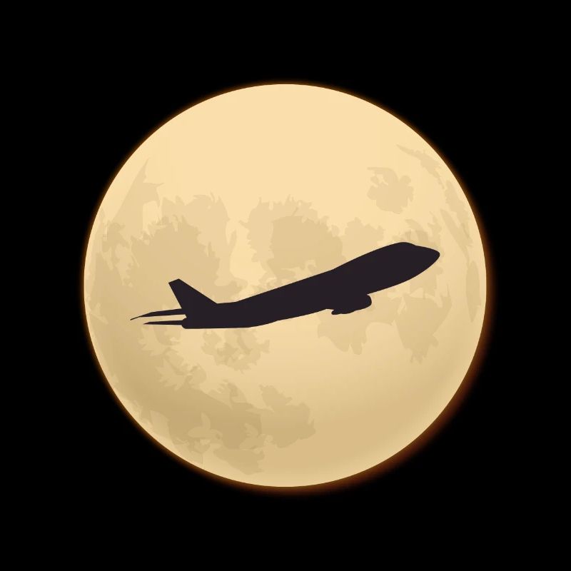 Silhouette jumbo contre la lune