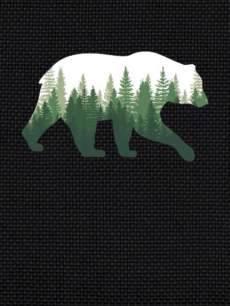 Bear Nature Forest