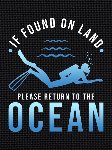 Diver Gift Diving Saying