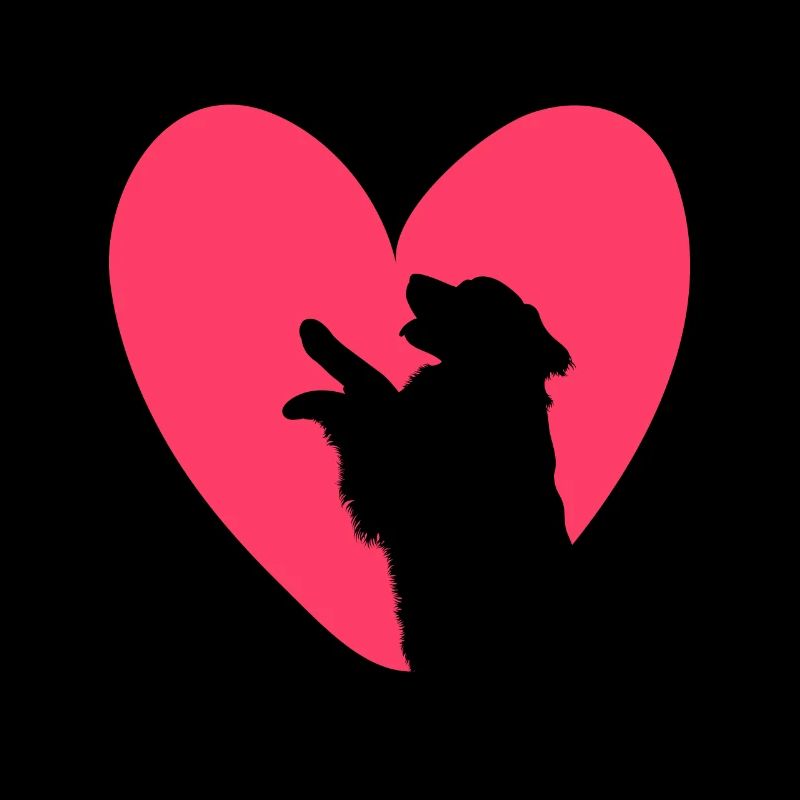 Bernese Mountain Dog Heart