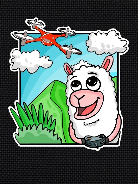 Drone Quadcopter Pilote drone Alpagas