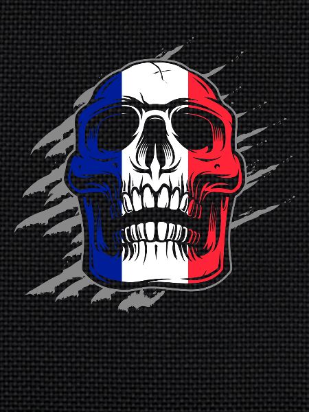 France Flag Skull