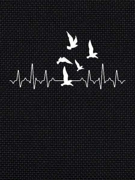 Bird Heartbeat