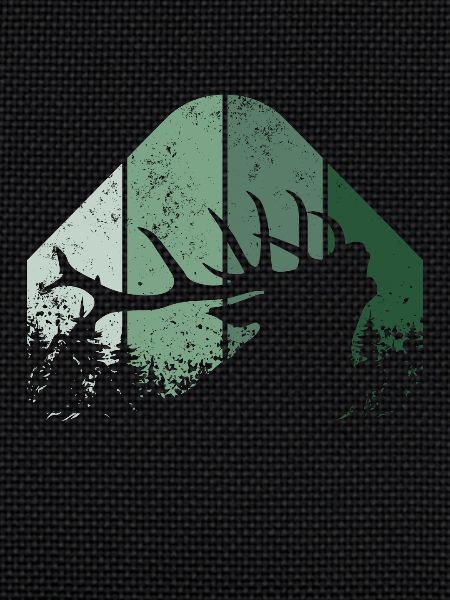 Deer forester hunter