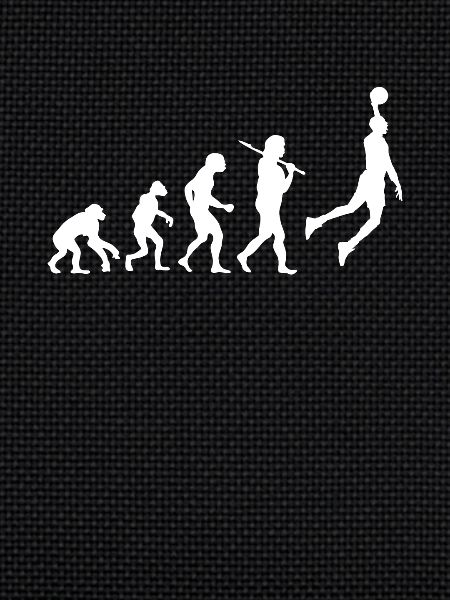 Evolution Basketball