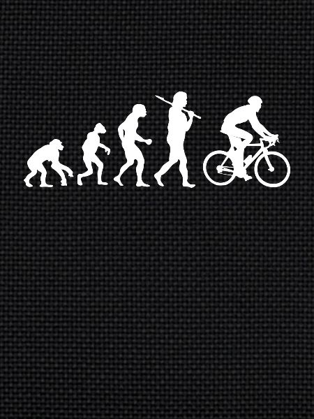 Evolution Vélo