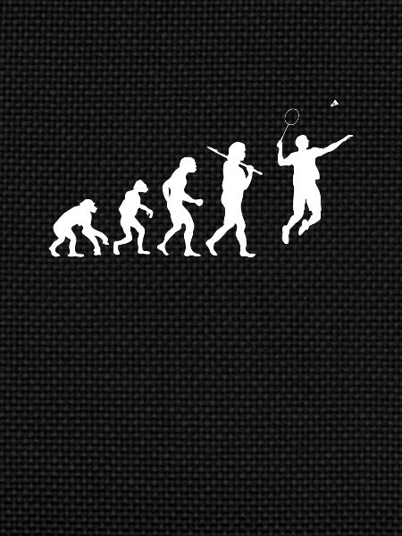 Evolution Badminton