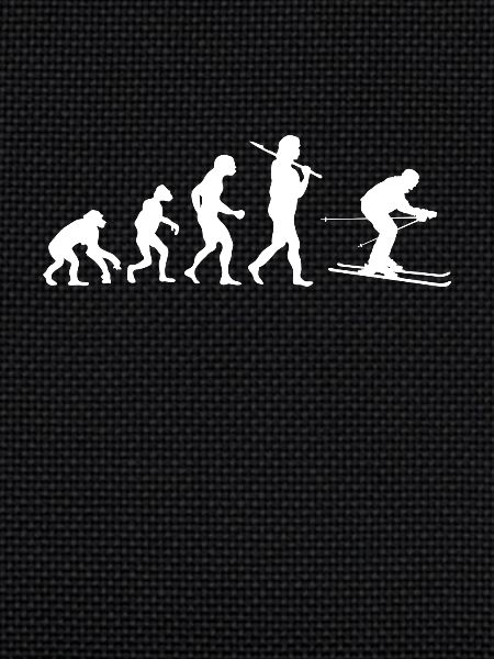 Evolution Ski