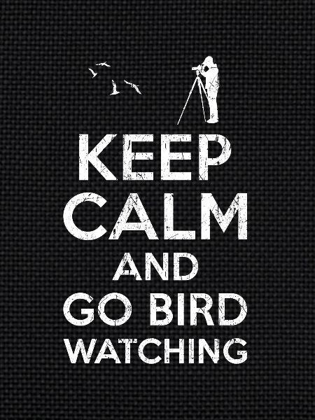 Keep calm Bird Watching