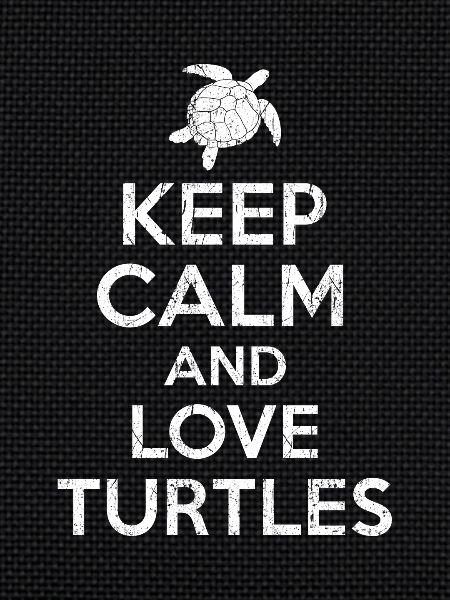 Turtle - Keep calm Turtle