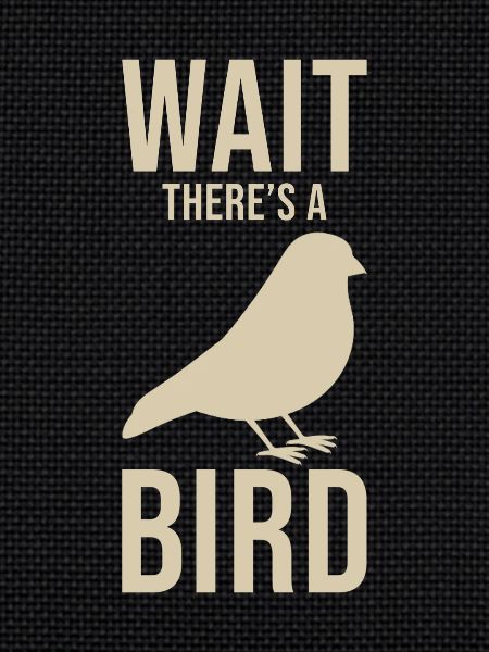 Ornithologist saying