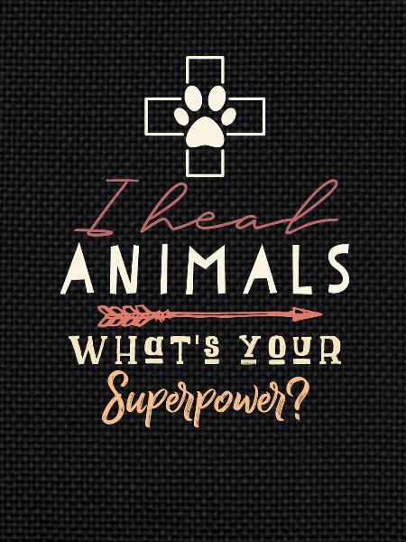 Veterinarian Gift