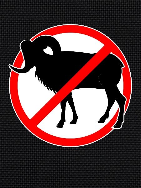 Chèvres ou mouflons interdits - chèvre