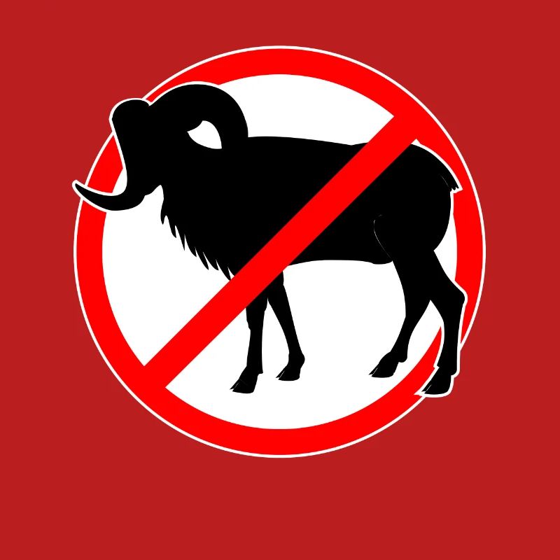 Ziegen oder Mufflons verboten - Ziege