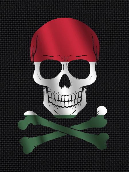 Hungary Flag