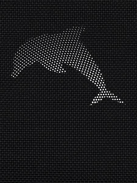 Dolphin