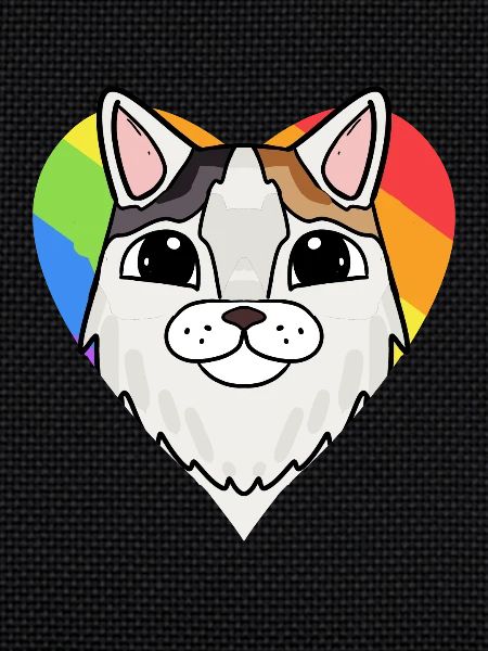 Chat LGBT Turc Van Rainbow