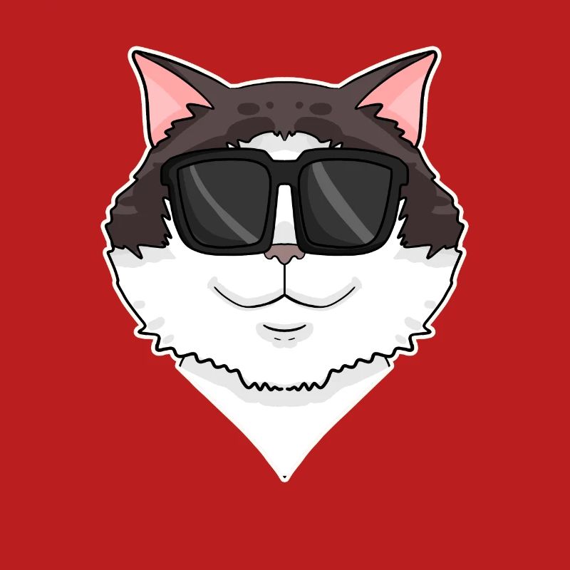 Ragdoll Cat