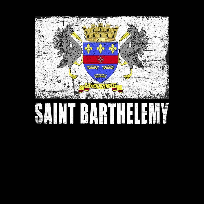 Saint Barthélemy Flagge