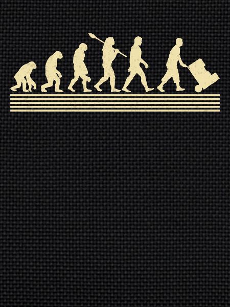 Logistician evolution