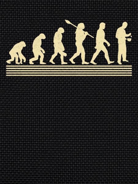 Koch-evolution
