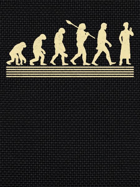Koch Evolution