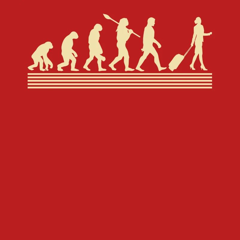 Stewardesses evolution