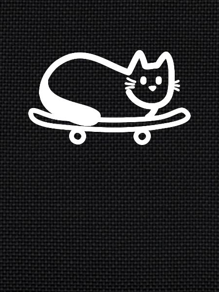 Cat on skateboard