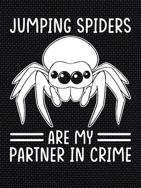Jumping Spider Saying