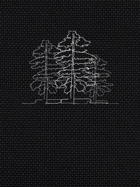 Tree Forest Lineart