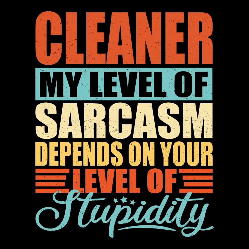 Cleaner Cleaning Lady Cleaner Dicton