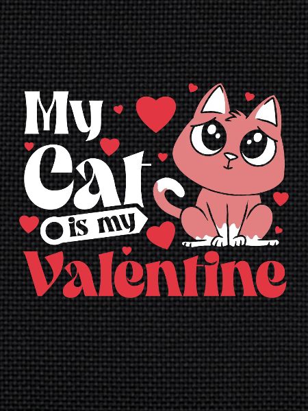 Mon chat est mon Valentin