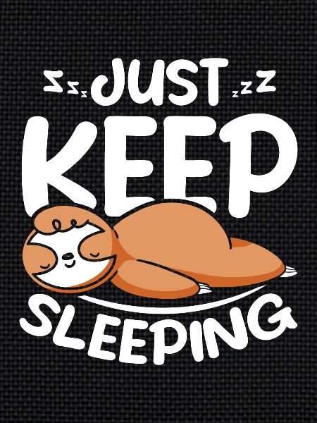 Sloth just keep sleeping