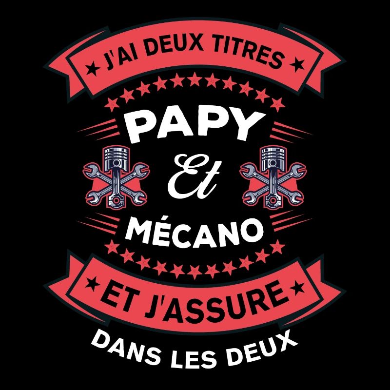 Deux Titres Papy Et Mécano Cadeau Humour