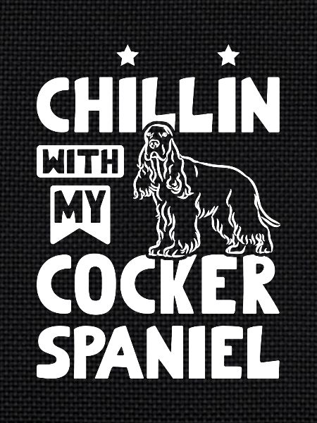 Chillin with my cocker spaniel