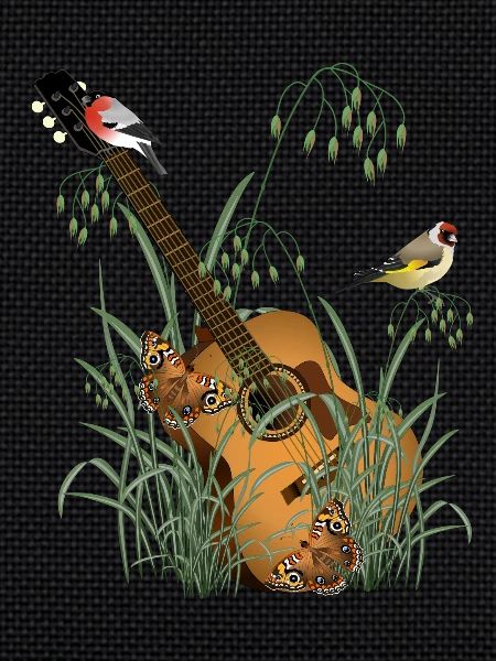 Guitare dans l’herbe avec des oiseaux