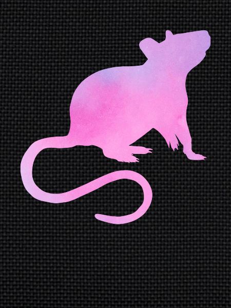 Maman rat