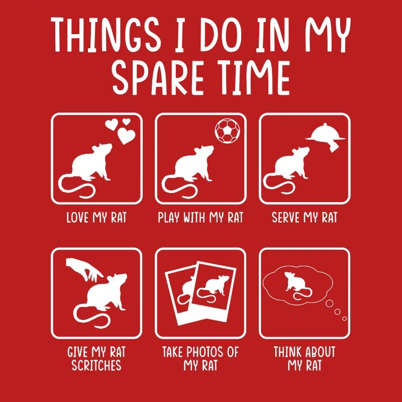 Gift for rat lovers